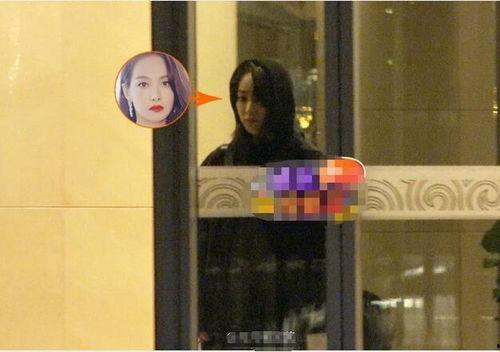 雪莉死因爆料视频播放,揭秘悲剧背后的真相